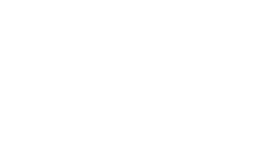 logo of pt_electronic